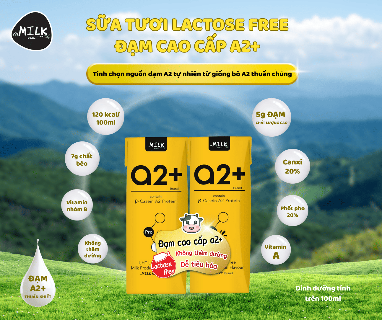 Sữa tươi đạm A2+ cao cấp Lactose Free mMilk